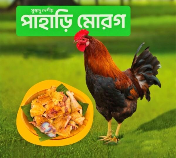 Desi Cock (দেশি মোরগ)