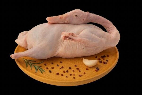 Deshi Duck (Process)